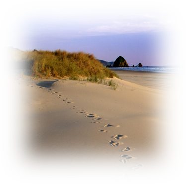 Footprints in sand - God is always with us!